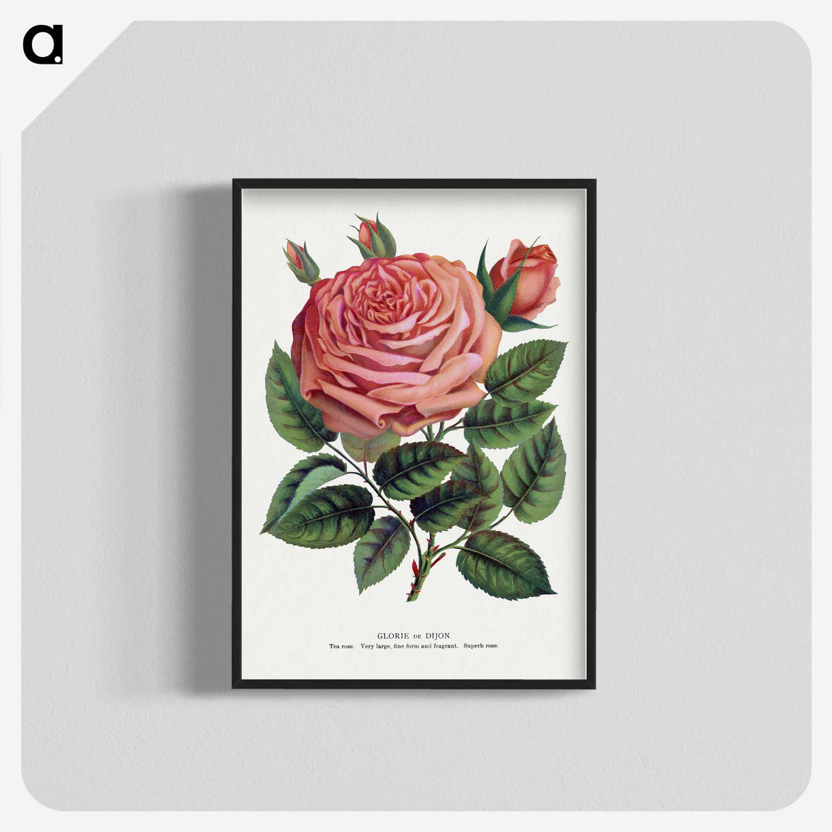 1-16_Botanical-Specimen-Plates_blk-crop