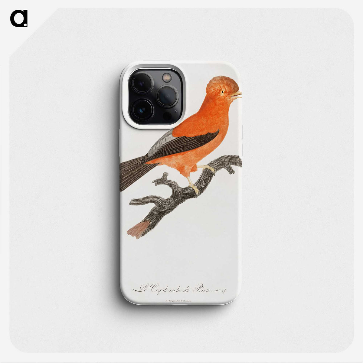 1-16_Des-Oiseaux-de-Paradis_phone