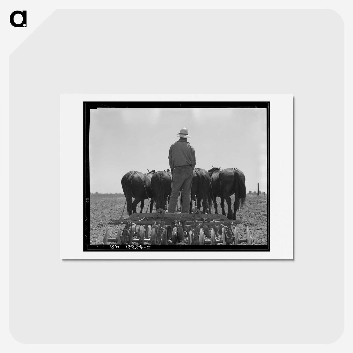 1-16_Dorothea-Lange_hagaki