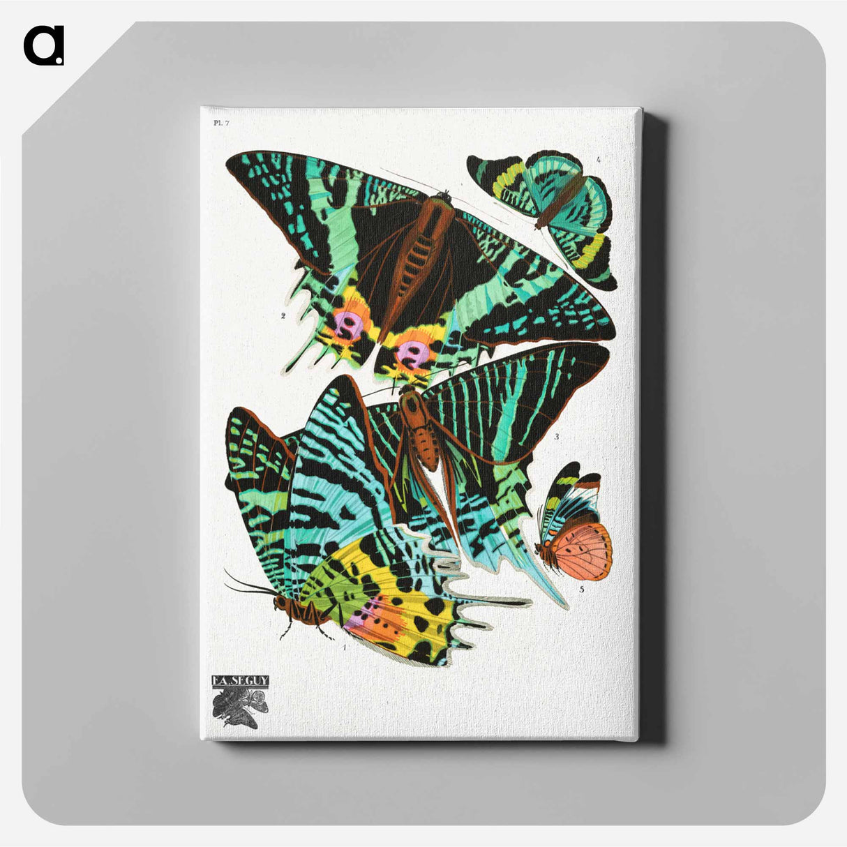 E.A. Séguy's vintage butterflies - E.A.セギー Canvas.