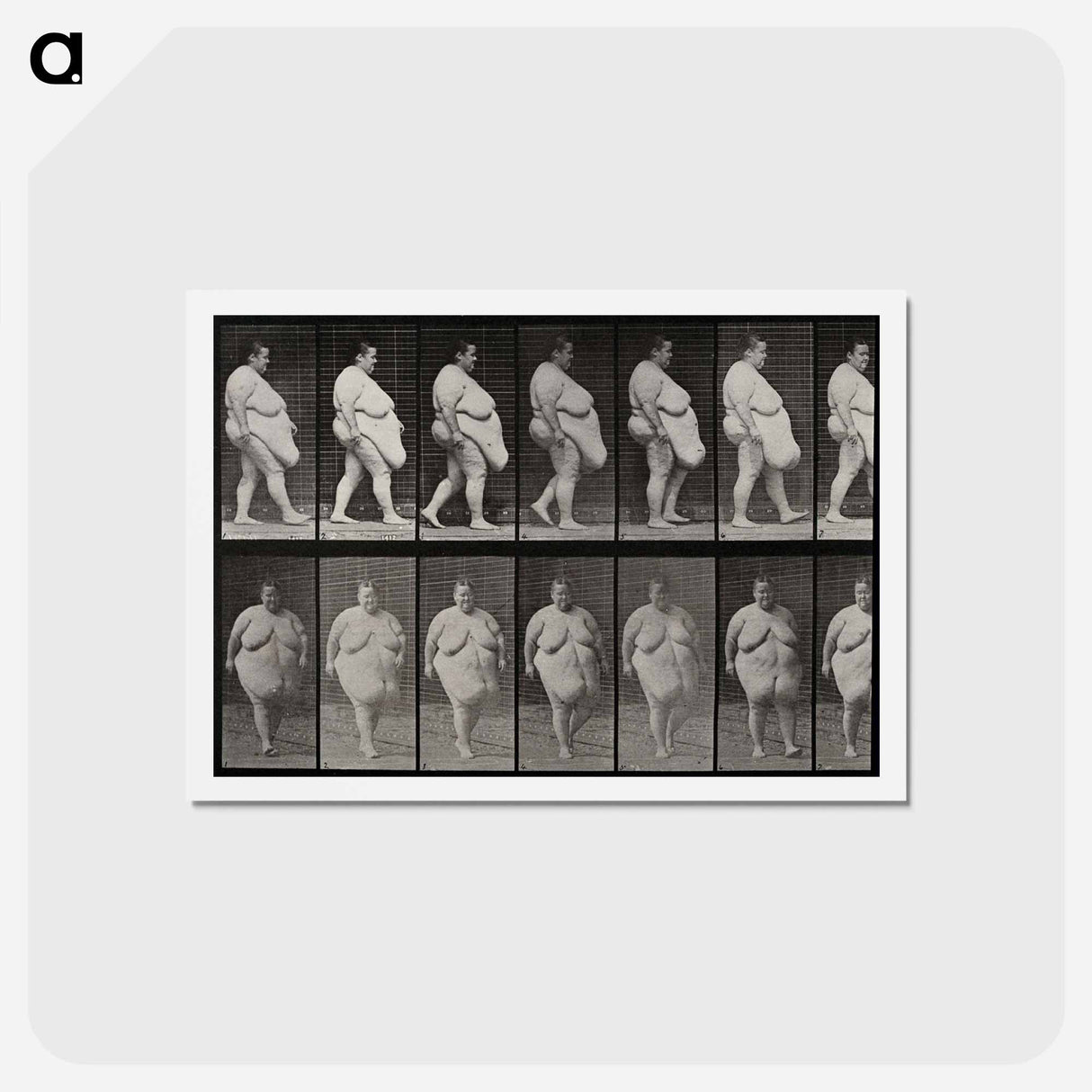 アートポストカード-Obese Woman Walking
- エドワード マイブリッジ Postcard.