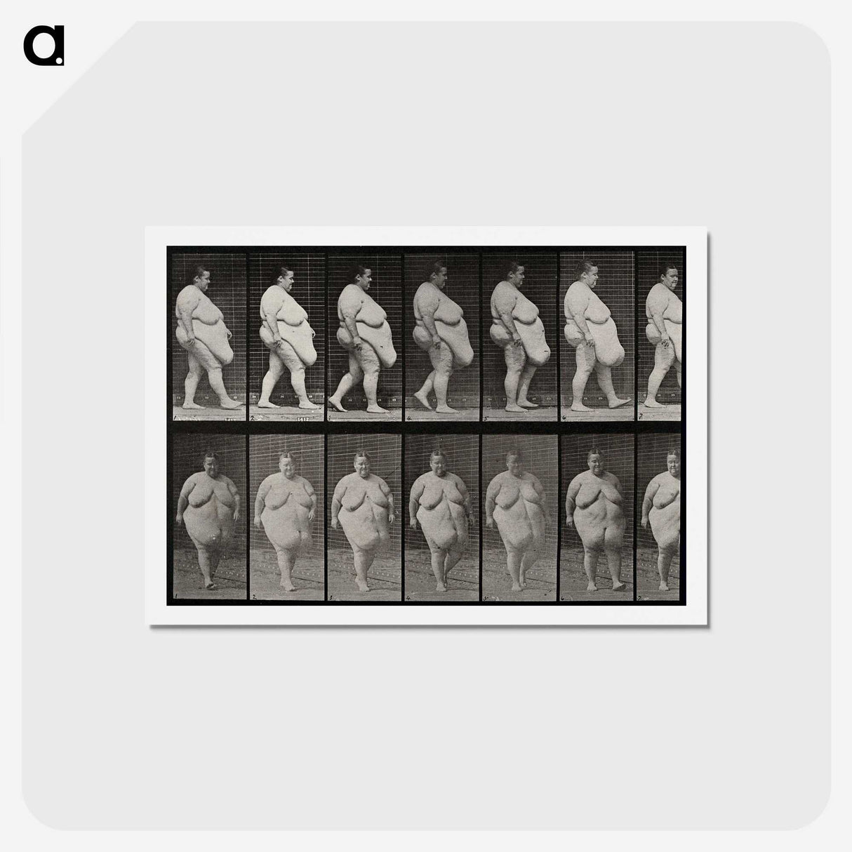 1-16_Eadweard-Muybridge_hagaki