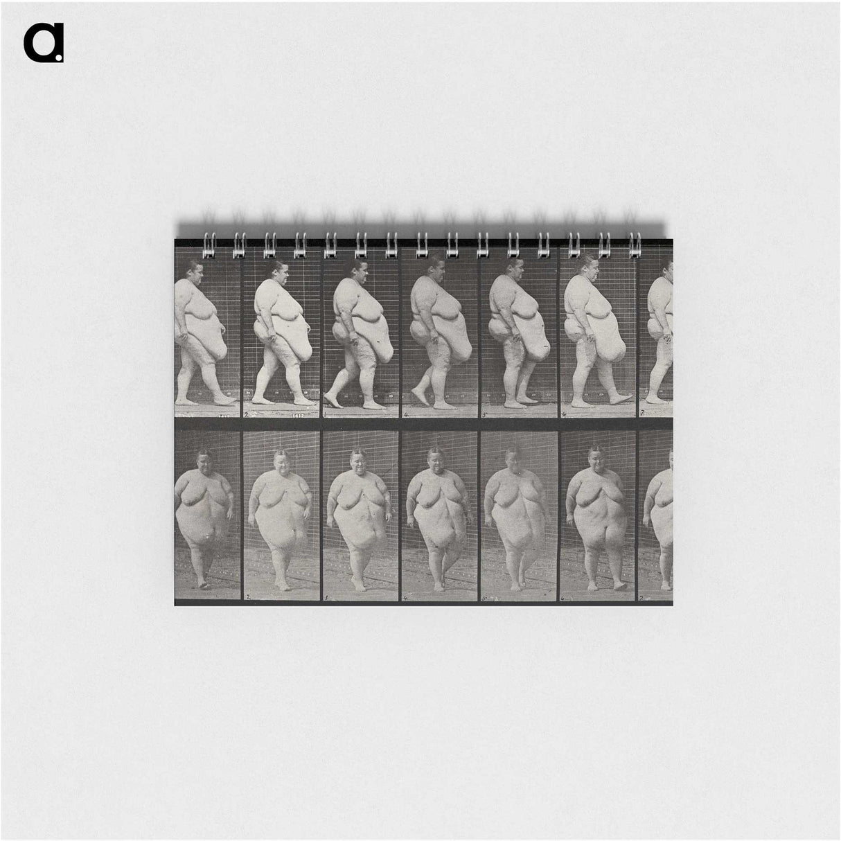 1-16_Eadweard-Muybridge_memo