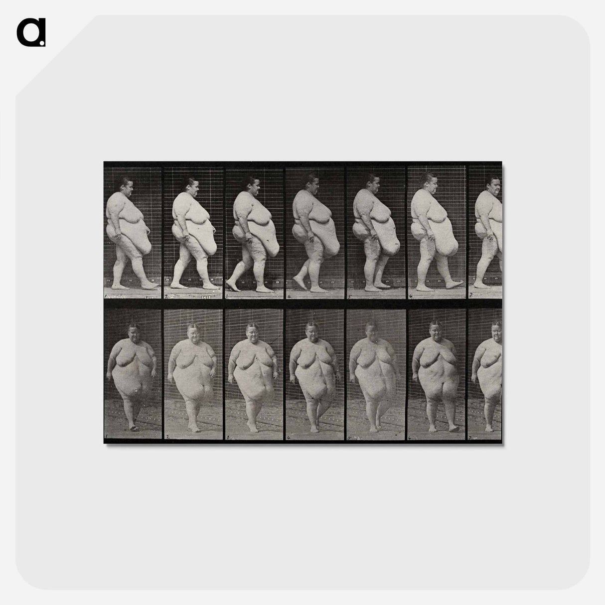 アートポストカード-Obese Woman Walking
- エドワード マイブリッジ Postcard.