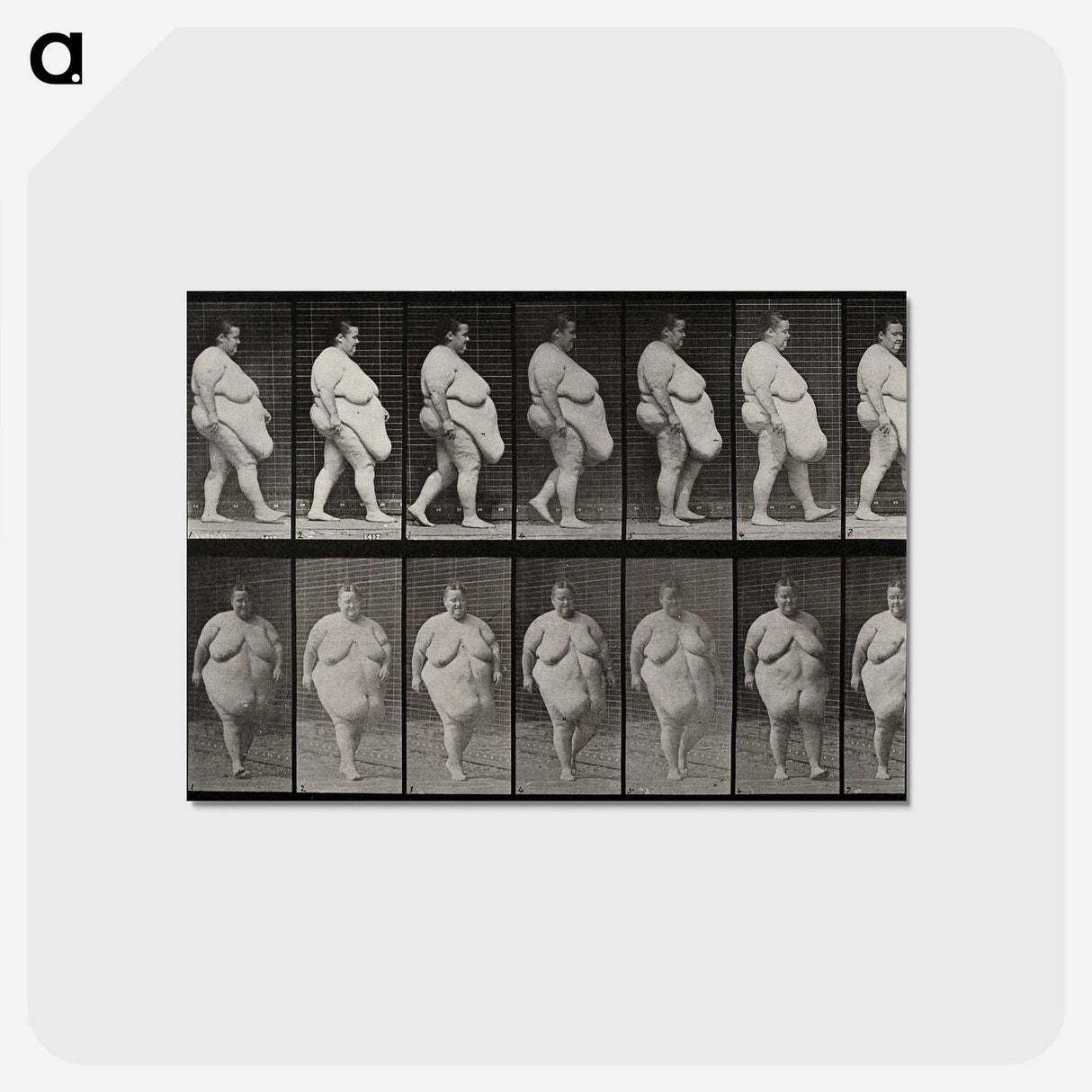1-16_Eadweard-Muybridge_postcard