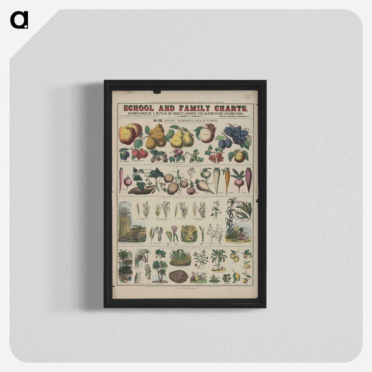 1-16_Education-Charts_blk-crop