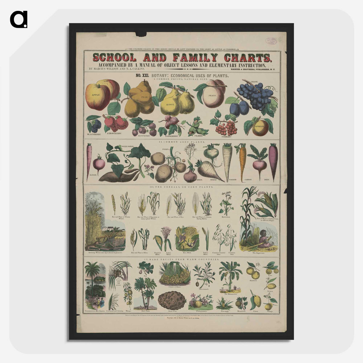 1-16_Education-Charts_picture-crop