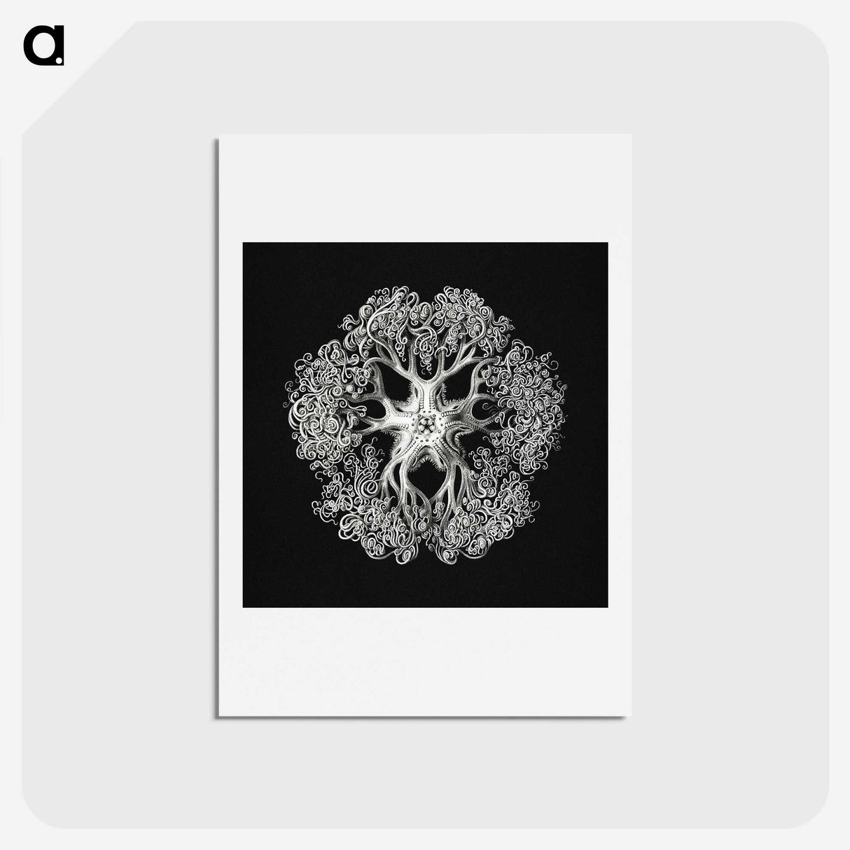 1-16_Ernst-Haeckel_hagaki