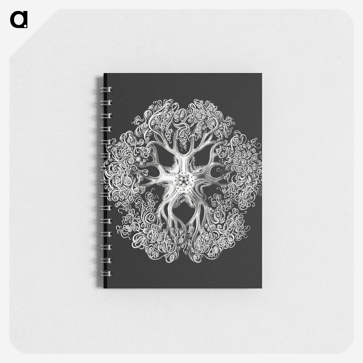 1-16_Ernst-Haeckel_memo