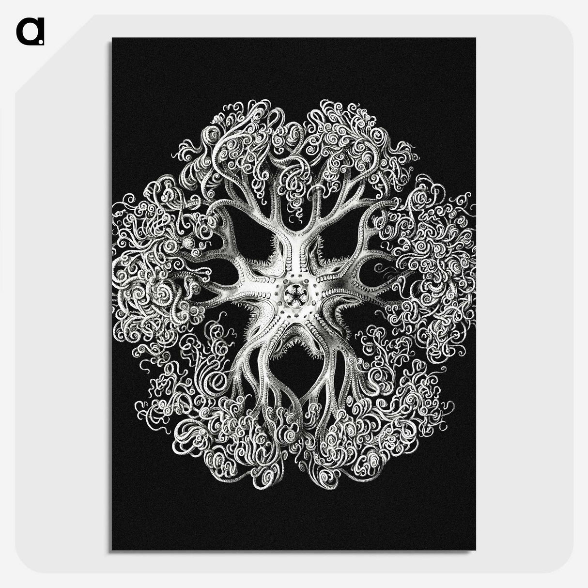 1-16_Ernst-Haeckel_picture-crop