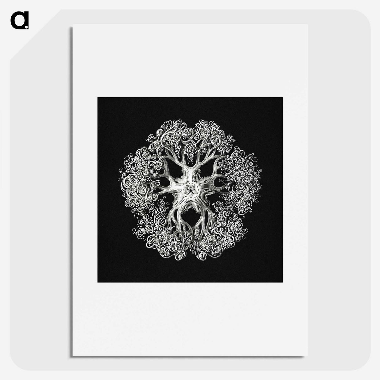 1-16_Ernst-Haeckel_picture