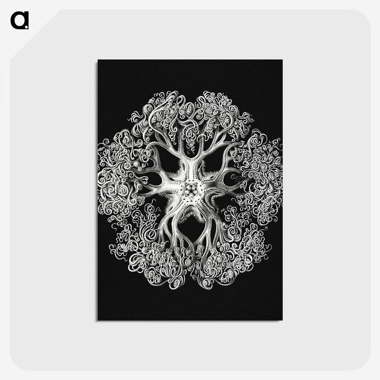 1-16_Ernst-Haeckel_postcard