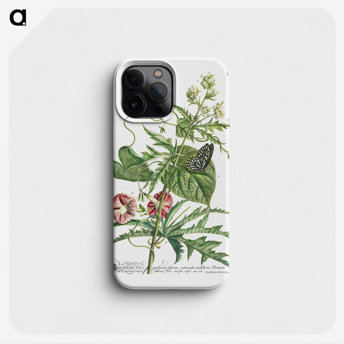 1-16_Georg-Dionysius-Ehret_phone
