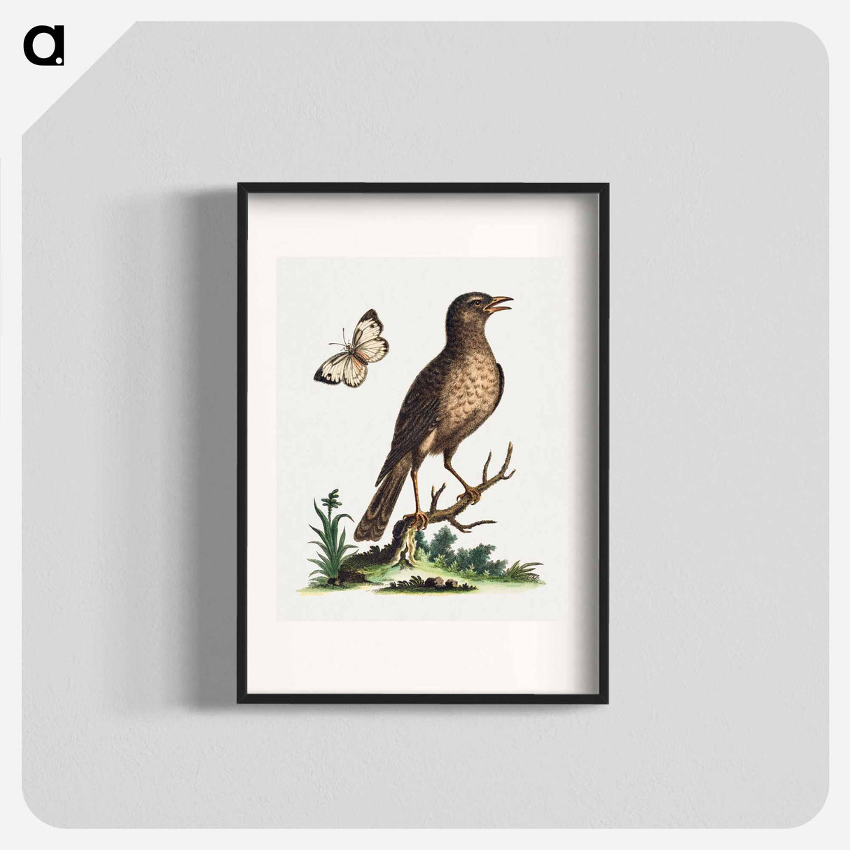 アートポスター-Brown Bird with a Butterfly
- ジョージ エドワーズ Poster.