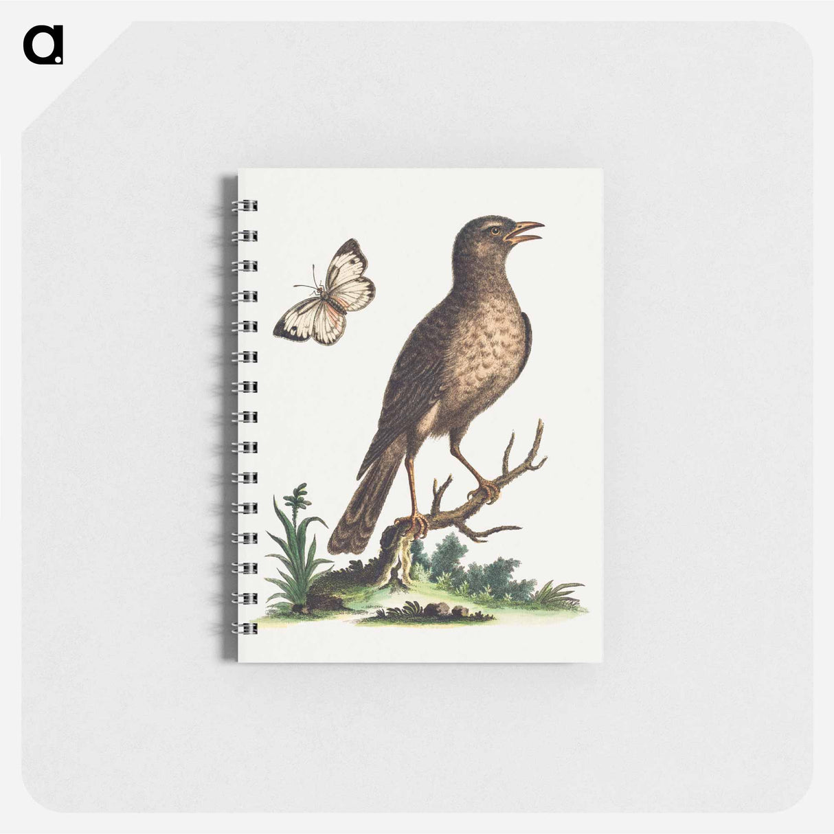 アートメモ帳-Brown Bird with a Butterfly
- ジョージ エドワーズ Memo.