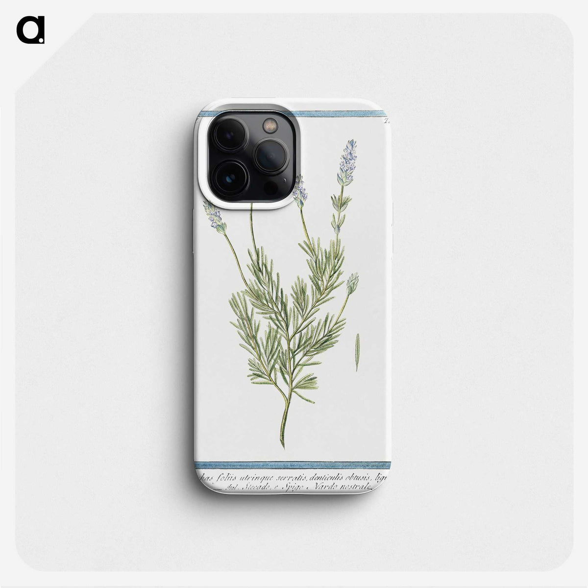 1-16_Hortus-Romanus-Botanical-Plates_phone