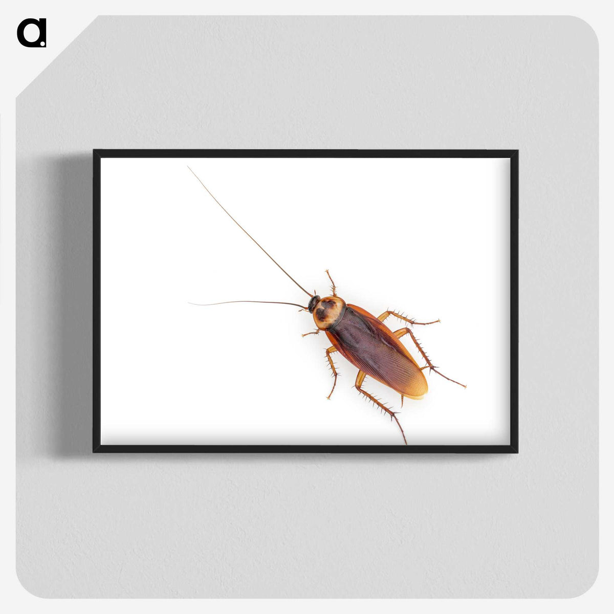 1-16_Insects-Unlocked-Project_blk-crop