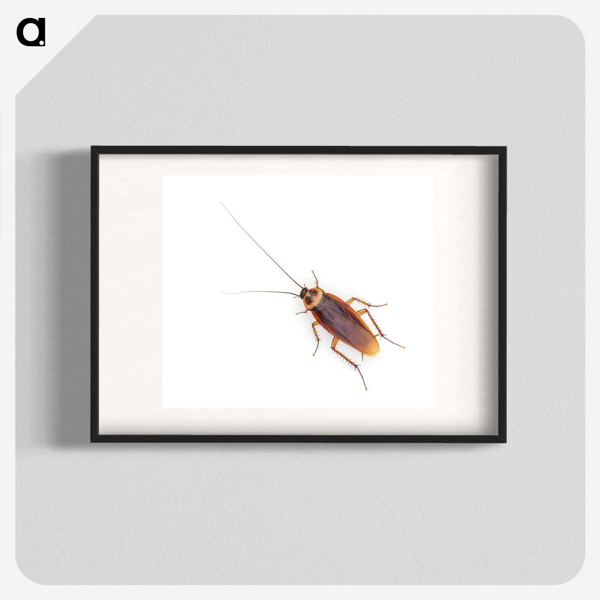 1-16_Insects-Unlocked-Project_blk