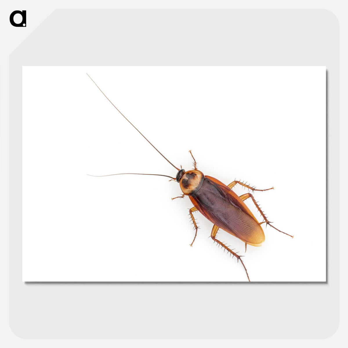 1-16_Insects-Unlocked-Project_picture-crop