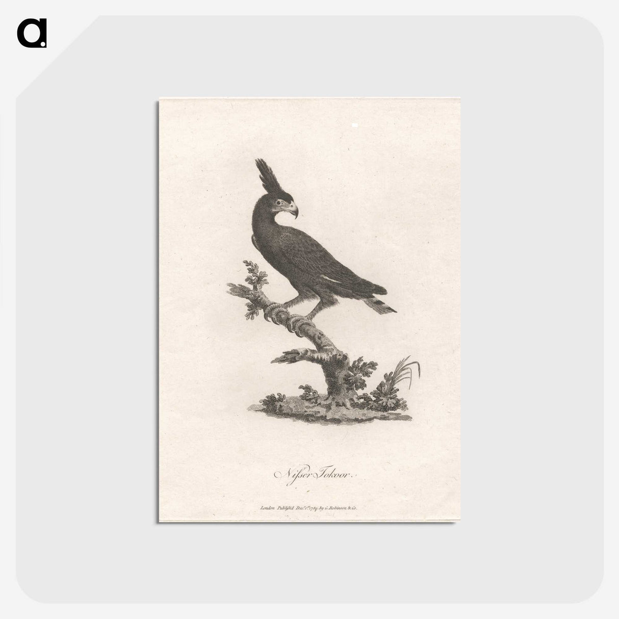 1-16_James-Heath_postcard