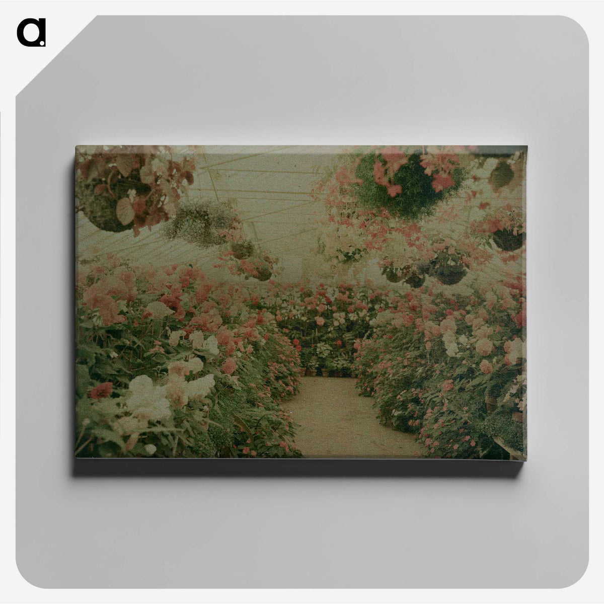 1-16_James-Walter-Chapman-Taylor_canvas
