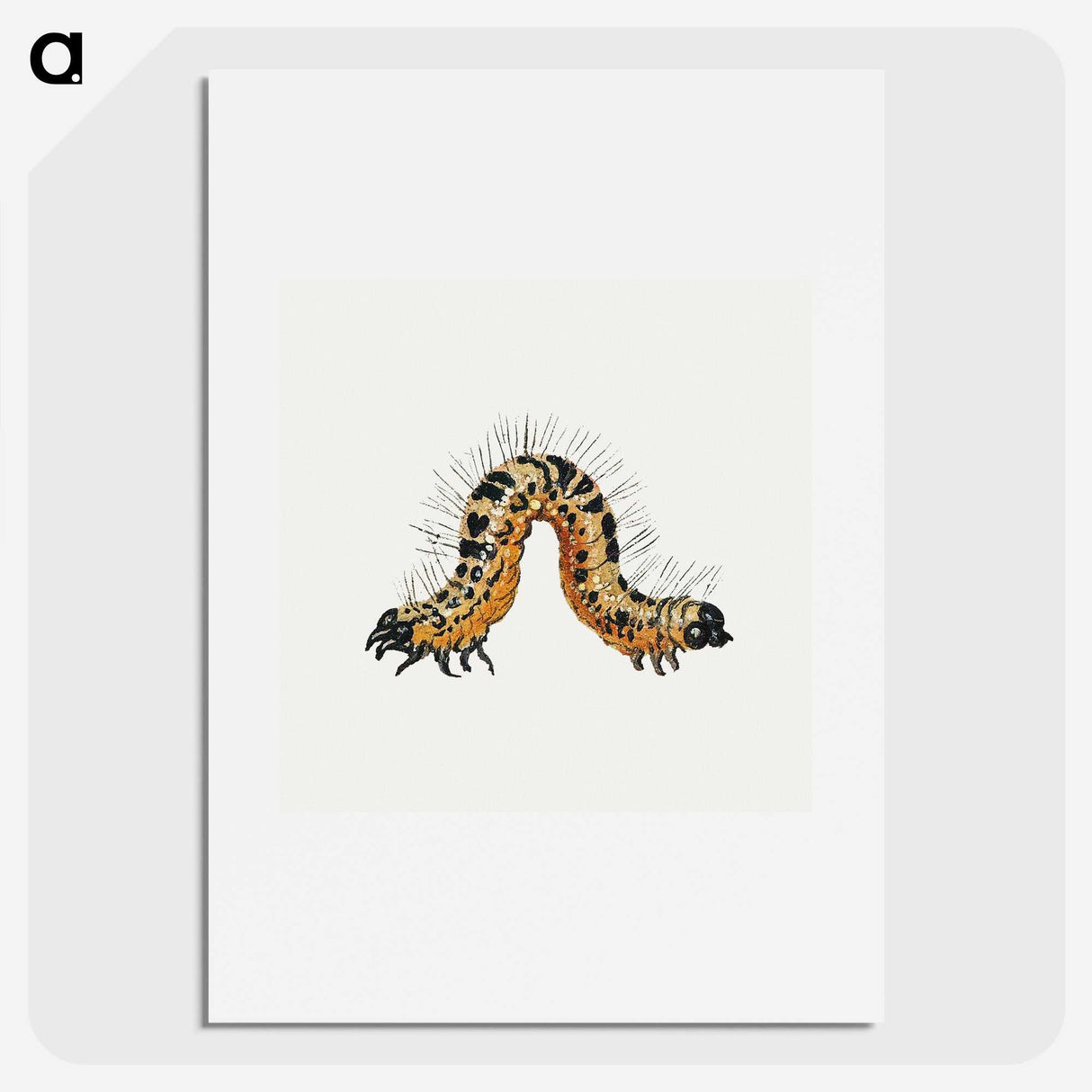 1-16_Jan-Van-Kessel_picture