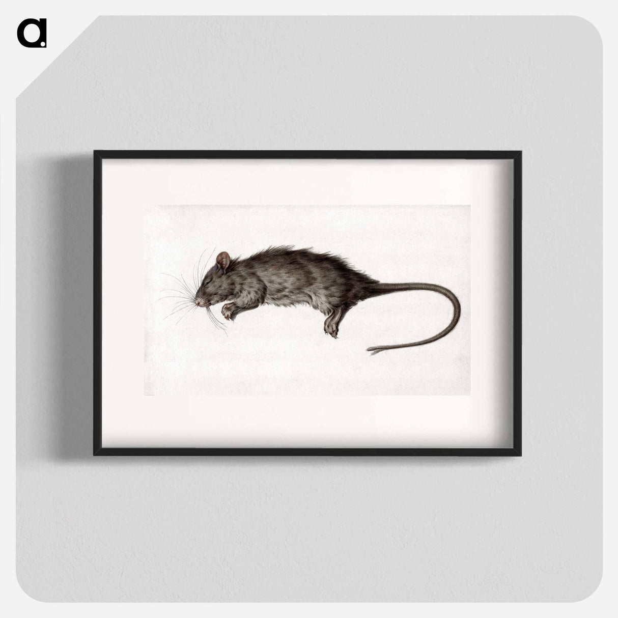 Dead rat - Jean Bernard Poster.