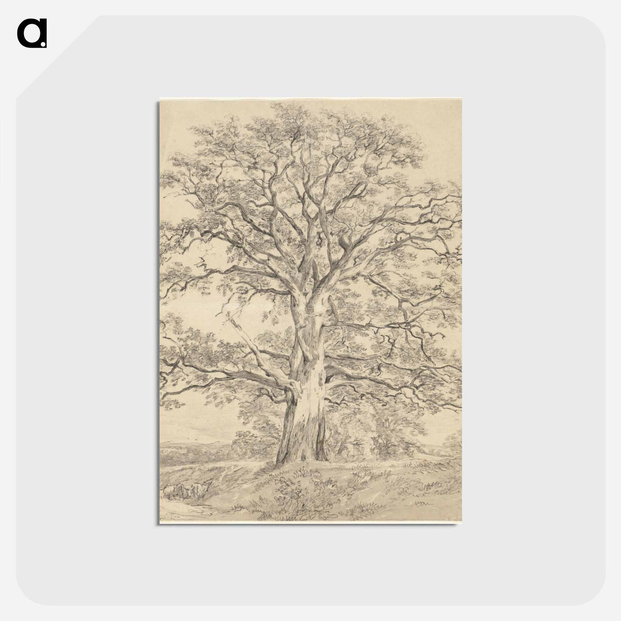 アートポストカード-A Great Oak Tree
- ジョン コンスタブル Postcard.