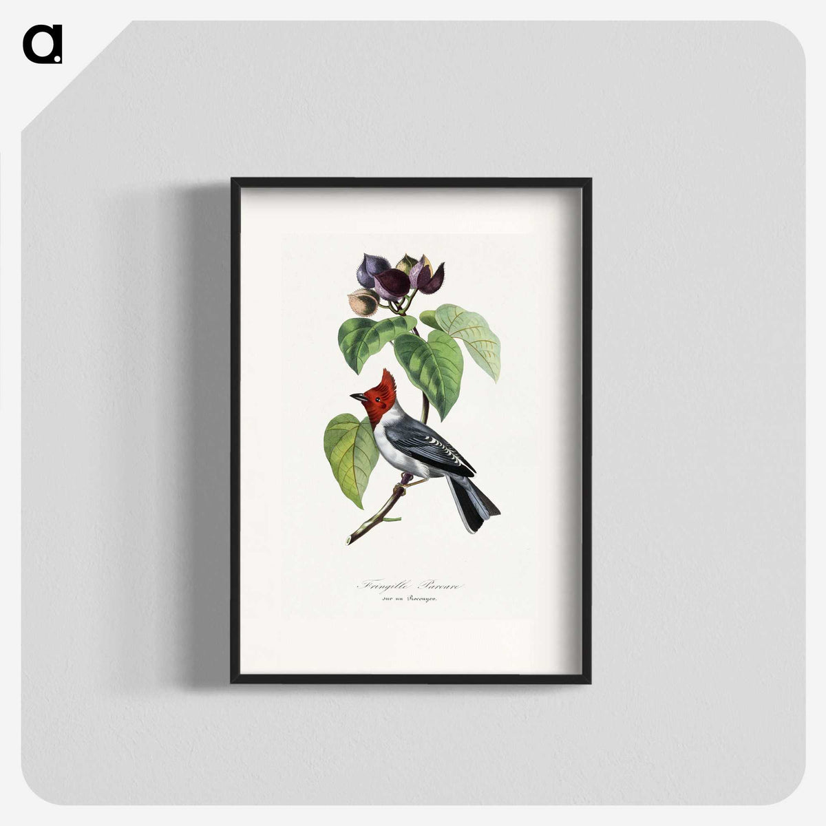 1-16_Le-Jardin-des-Plantes_blk