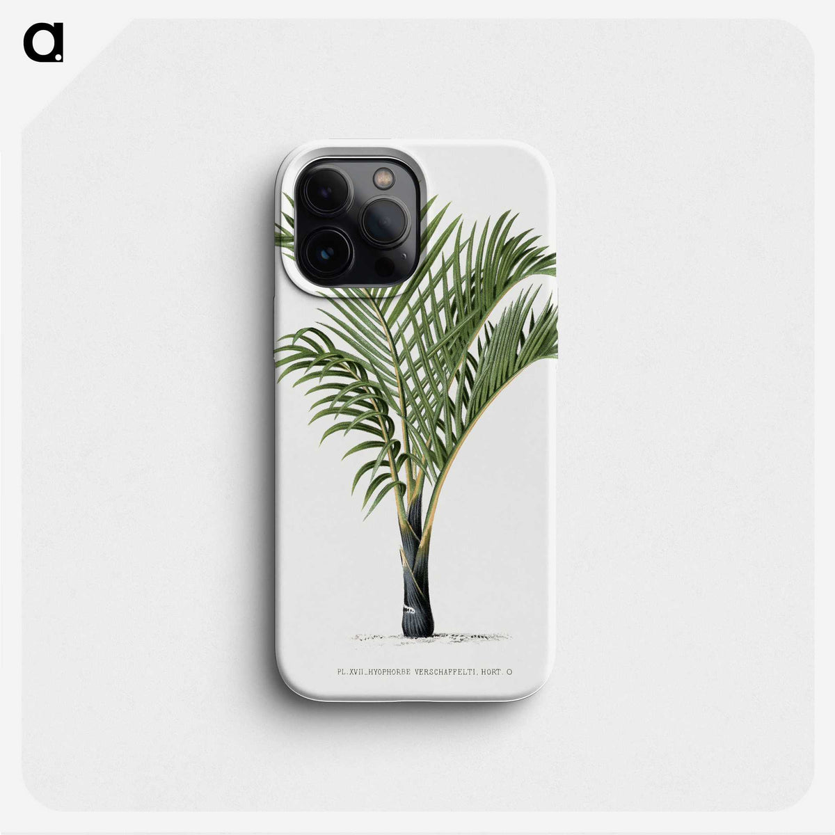 1-16_Les-Palmiers-Histoire-Iconographique_phone