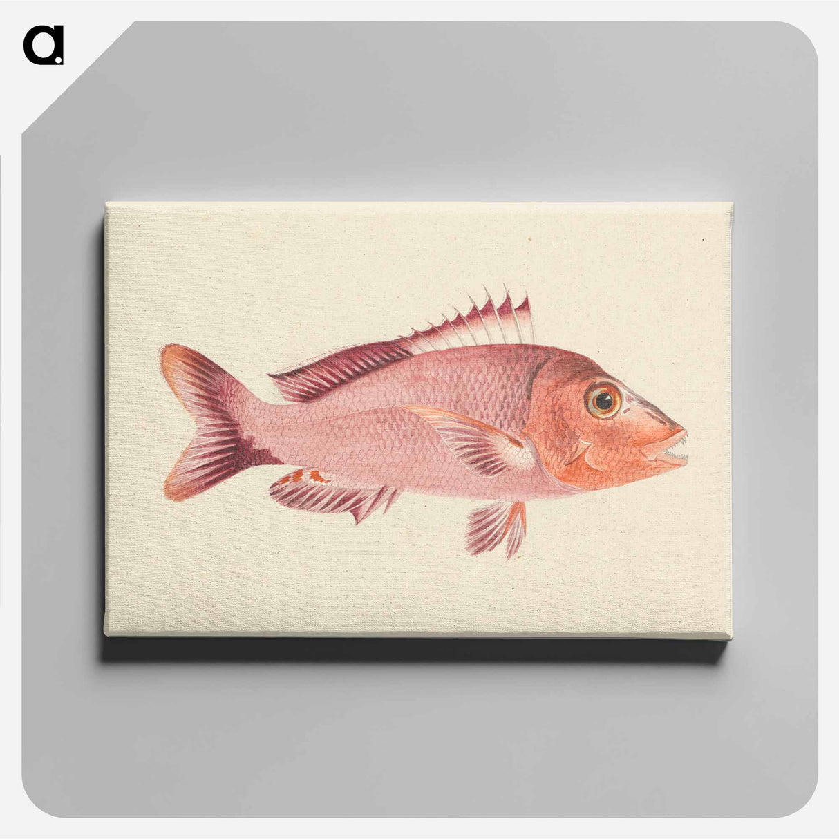 アートパネル-Unidentified Fish
- ルイージ バルガーニ Canvas.