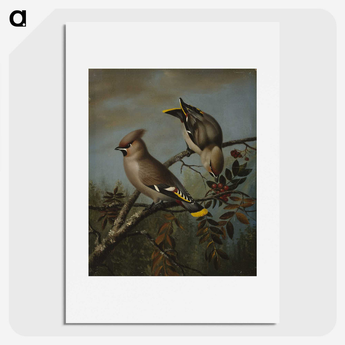 1-16_Magnus-von-Wright_picture