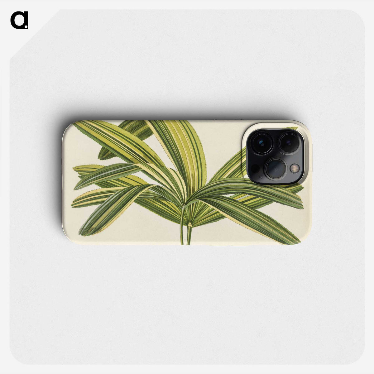 1-16_New-and-Rare-Beautiful-Leaved-Plants_phone