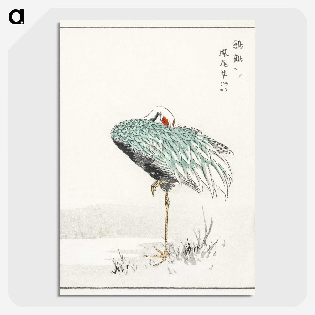 1-16_Pictorial-Monograph-of-Birds_picture-crop