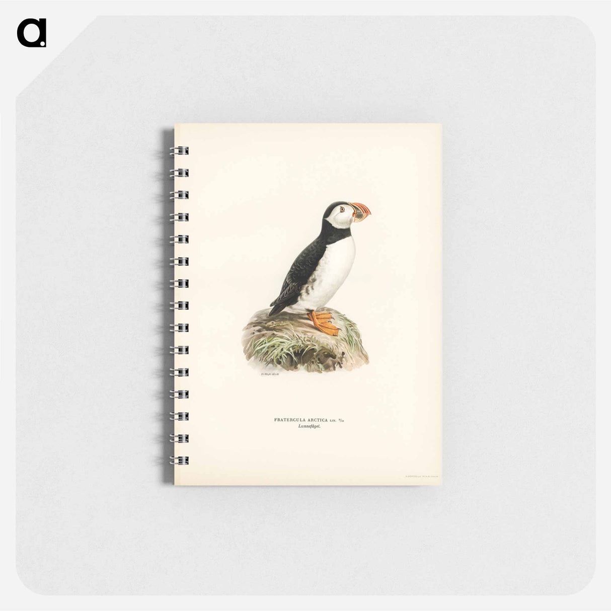 アートメモ帳-Atlantic Puffin
- スヴェンスカ フォグラル Memo.