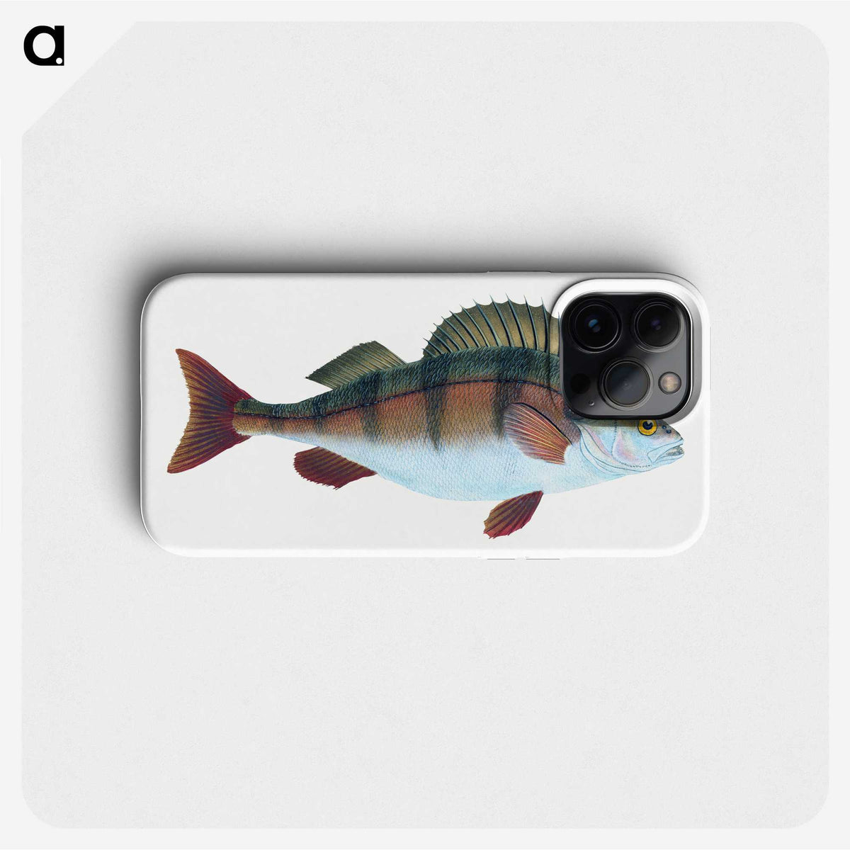 1-16_The-Natural-History-of-British-Fishes_phone