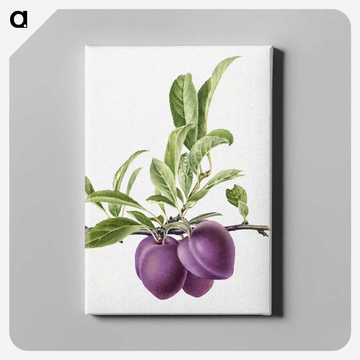 1-16_USDA-Watercolor-Fruit-Painting-Collection_canvas