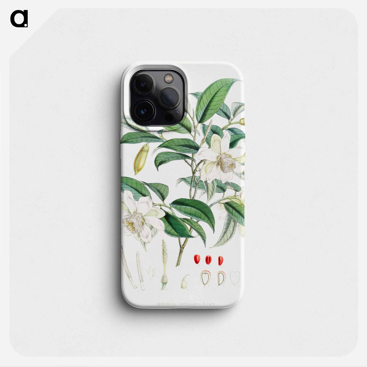Michelia Cathcartii - Walter Hood Fitch Phone Case.