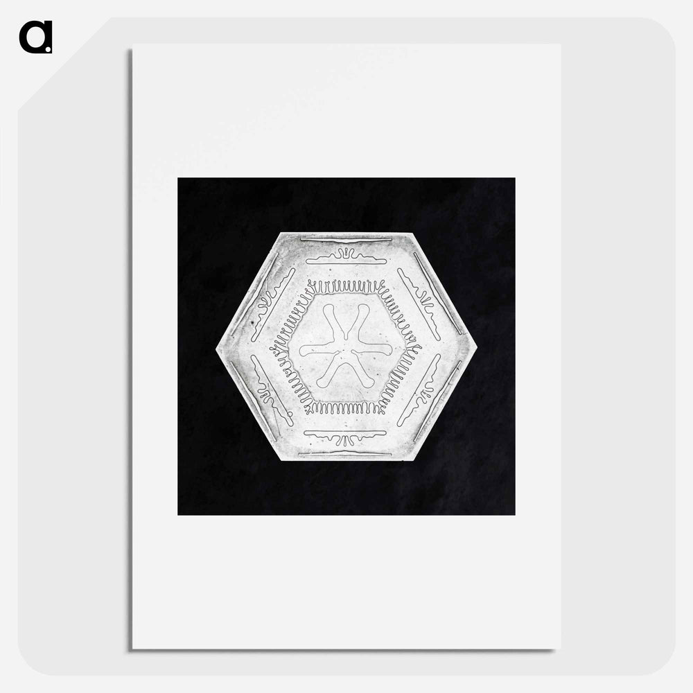 Wilson Bentley's Snowflake 10 - ウィルソン ベントレー Poster.