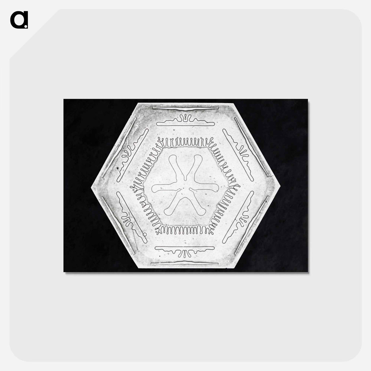 アートポストカード-Wilson Bentley's Snowflake 10 - ウィルソン ベントレー Postcard.