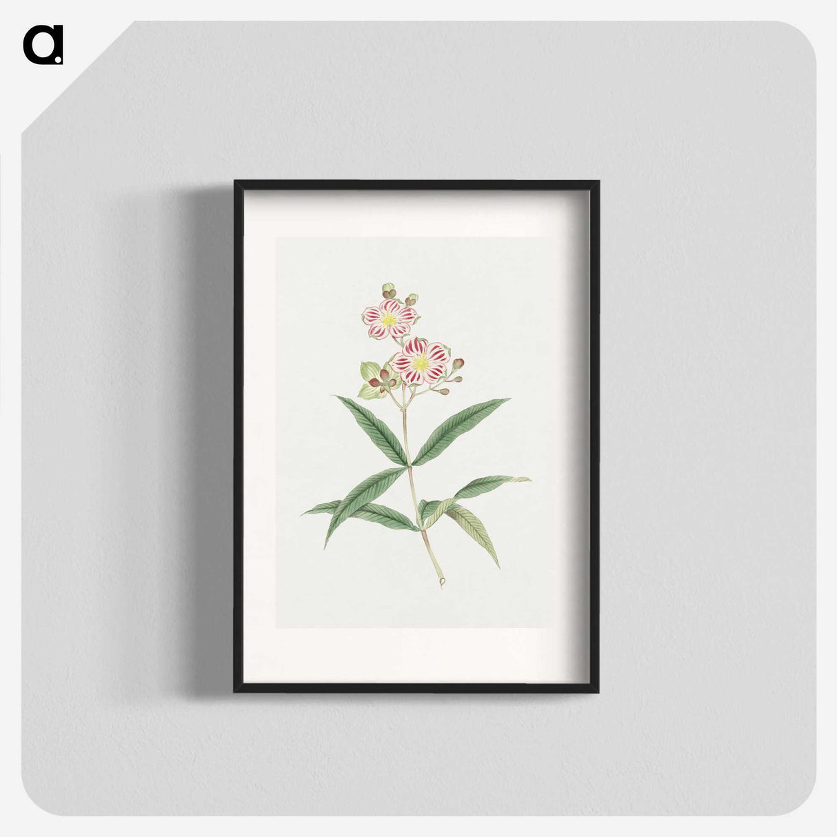 1-17_19th-Century-Japanese-Flowers_blk