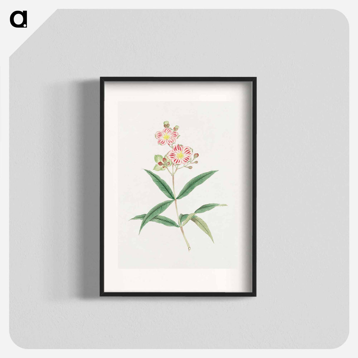 Japanese red on white blossoms - 19世紀の日本の花 Poster.