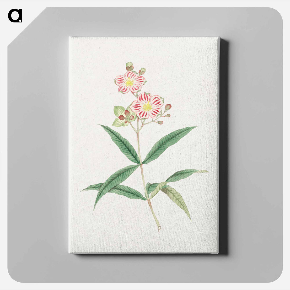 Japanese red on white blossoms - 19世紀の日本の花 Canvas.