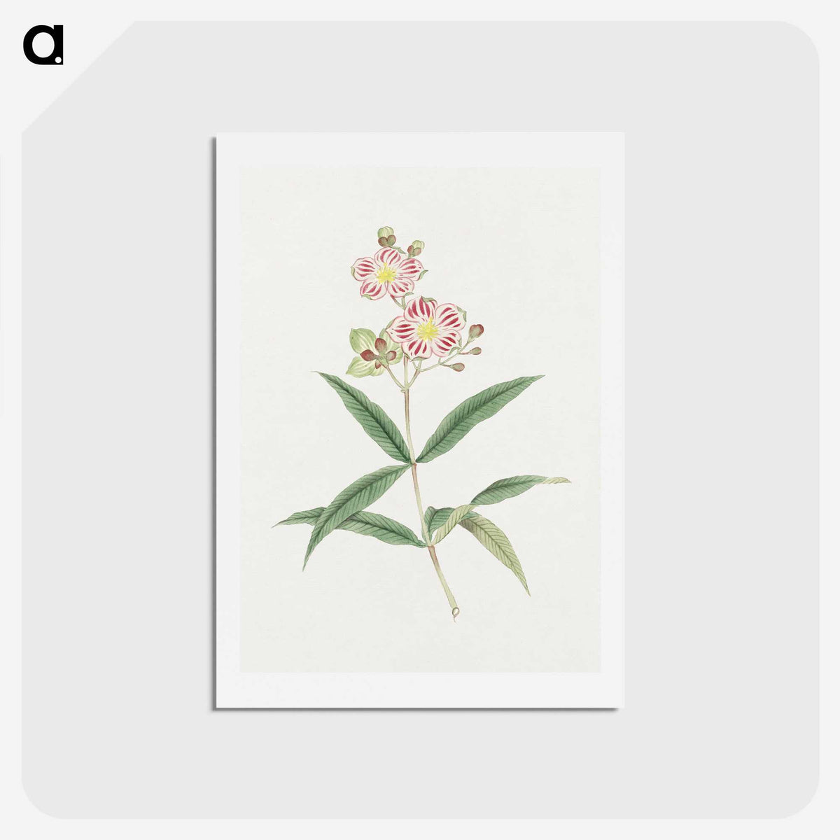 1-17_19th-Century-Japanese-Flowers_hagaki
