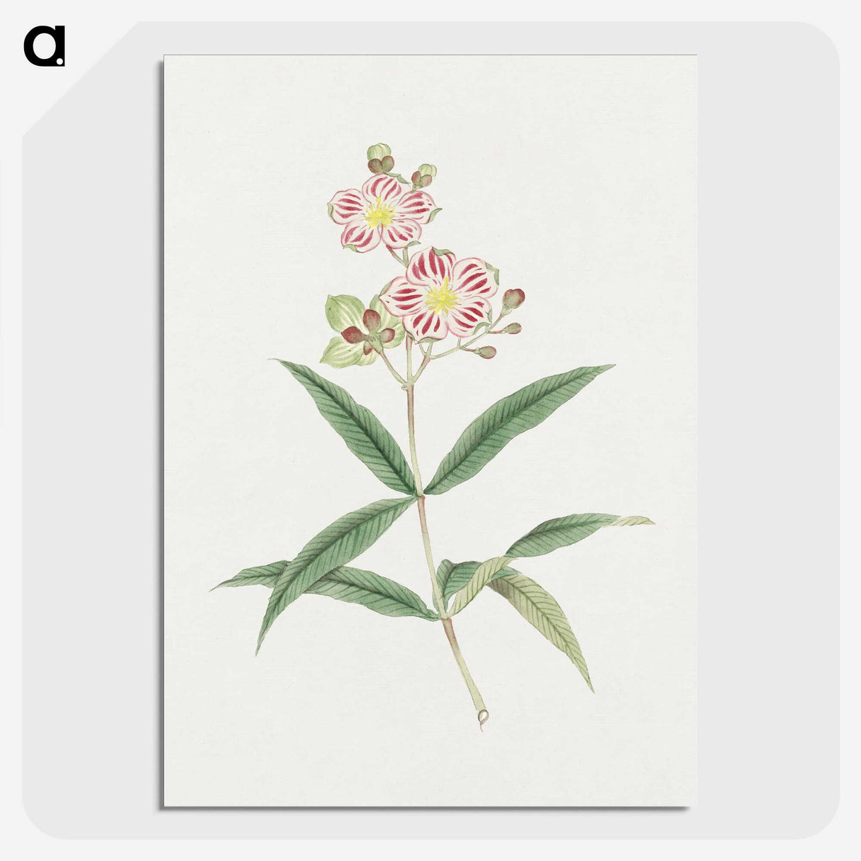 1-17_19th-Century-Japanese-Flowers_picture-crop