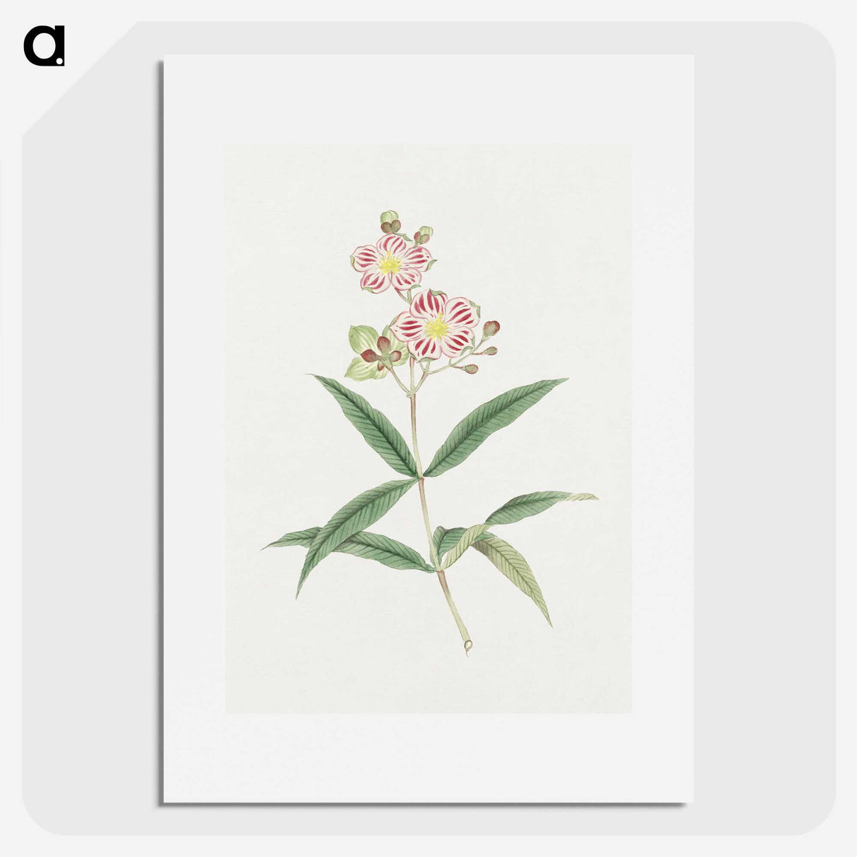 1-17_19th-Century-Japanese-Flowers_picture