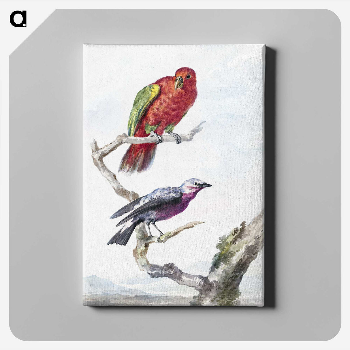 1-17_Aert-Schouman_canvas