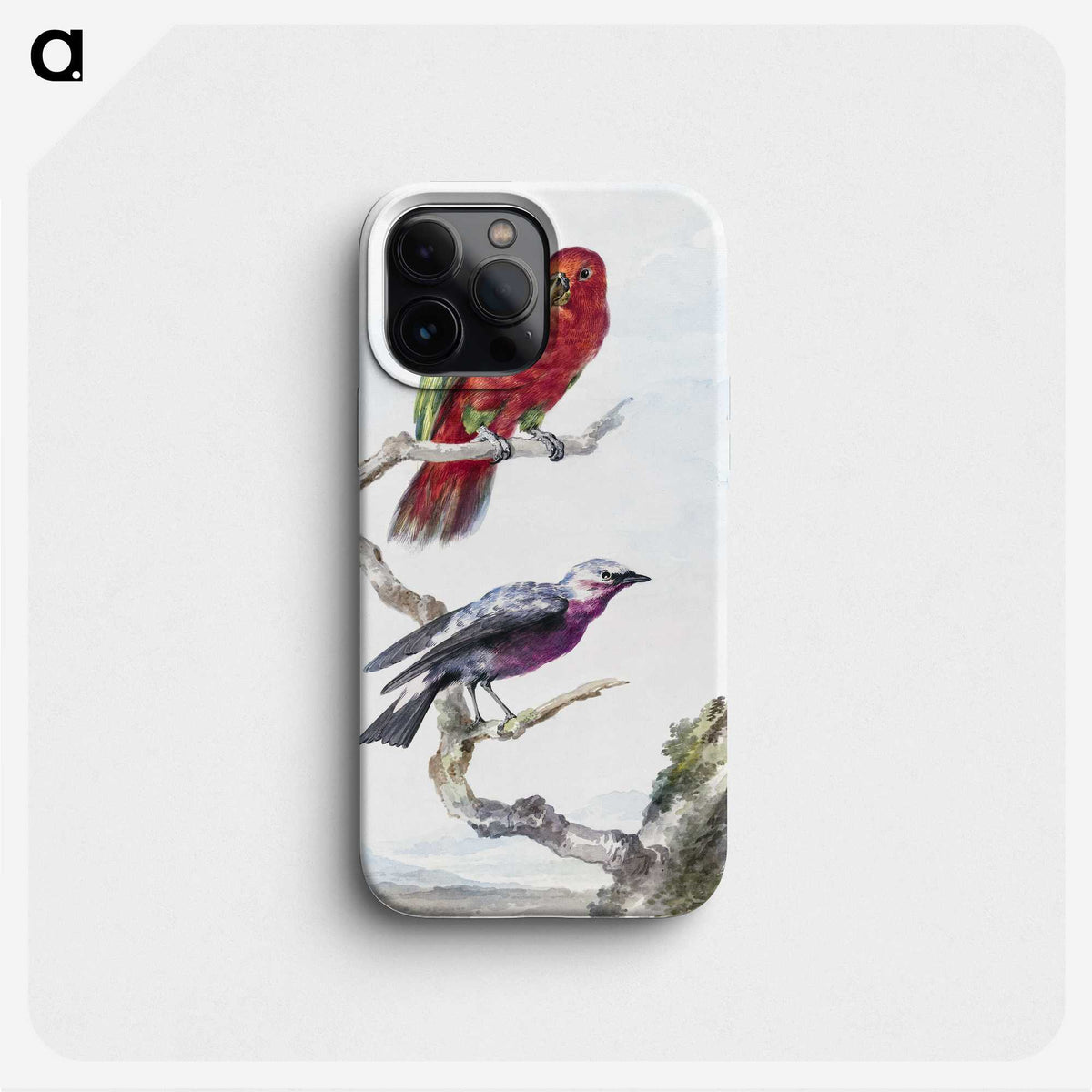 1-17_Aert-Schouman_phone