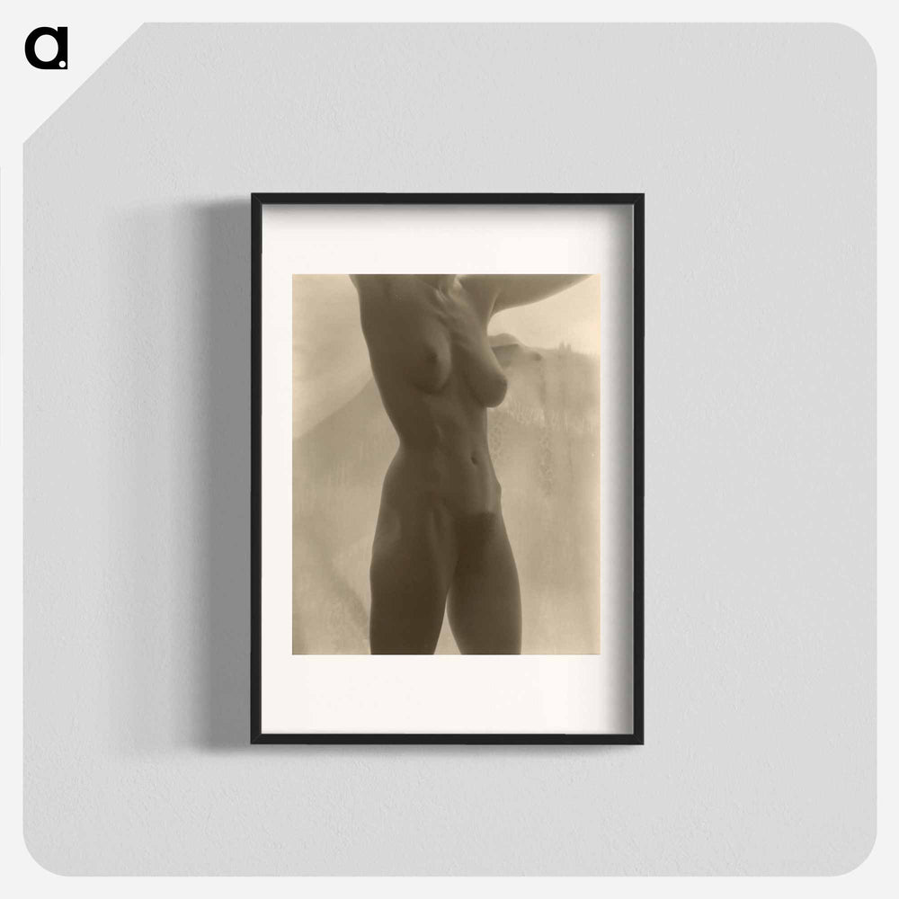 Georgia O'Keeffe—Torso - アルフレッド スティーグリッツ Poster.