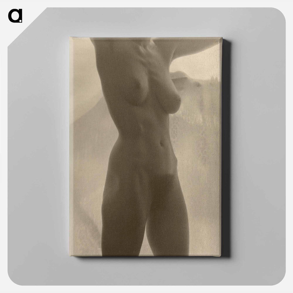 Georgia O'Keeffe—Torso - アルフレッド スティーグリッツ Canvas.